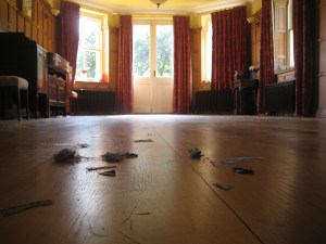 When they all went back home feeling happy, satisfied, inspired and motivated to sew more ... all left was empty room with threads and offcuts all over and feeling of job well done!! I'm looking forward to some more!!