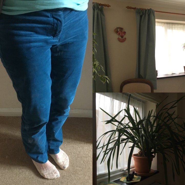 58F841C2-7455-44D9-AD14-898F675ACC88